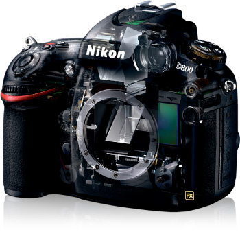 Nikon D800: Il miglior sensore CMOS di sempre