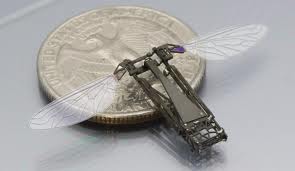 ROBOBEE: i primi Insetti Robot Volanti