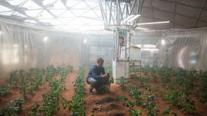 Fiori su Marte: il successo della serra Veggie